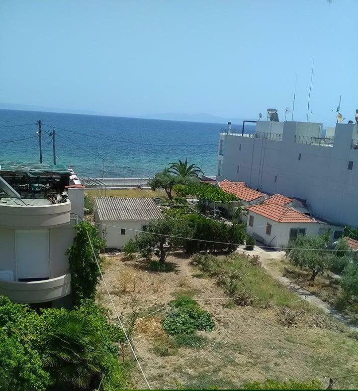 To Giouli Volos Exterior foto